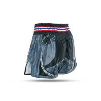 KING PRO BOXING - SHORT - KPB FLAG 1