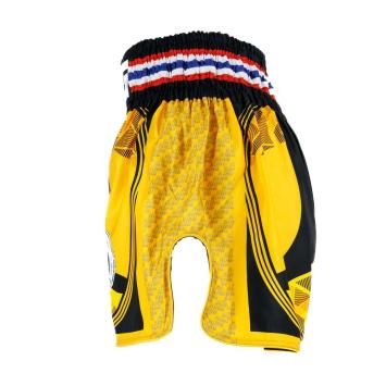 KING PRO BOXING - SHORT - KPB FLAG 4